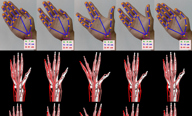 Trayectoria capturada con cámara y su reconstrucción en el modelo musculoesquelético