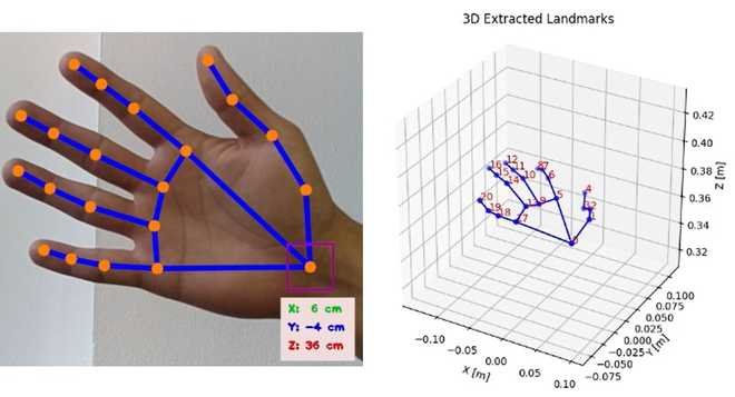 Puntos de la mano