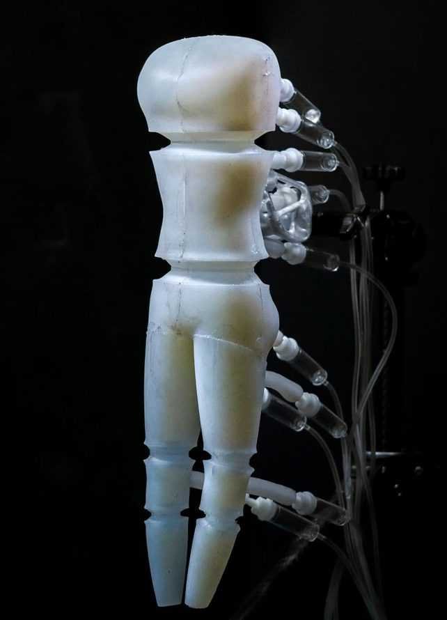 Prototipo del maniquí que cambia de forma