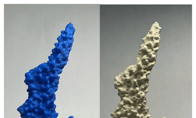 Fragmento de coral impreso en 3D y su réplica en yeso