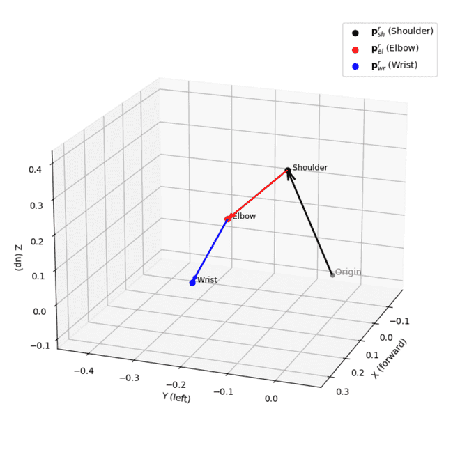 Vectores del brazo